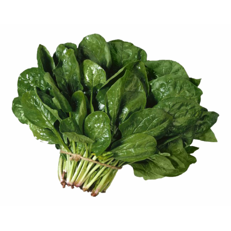 Ispanak