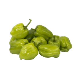 Dolmalık Biber 
