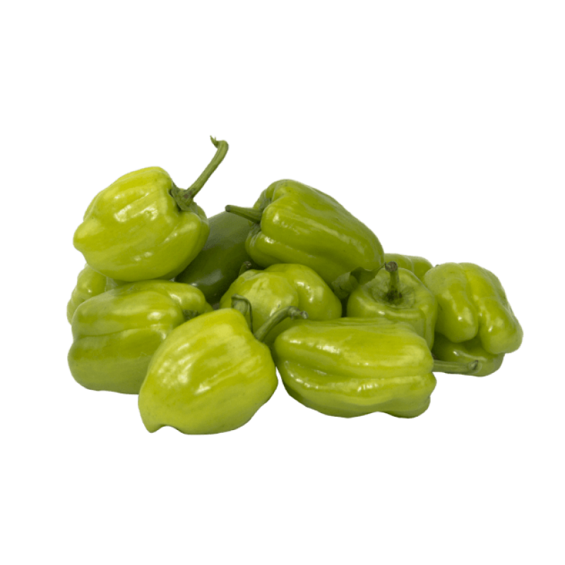Dolmalık Biber 
