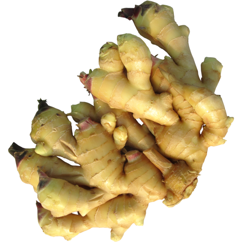 Zencefil