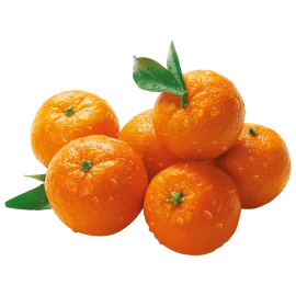 Mandalina