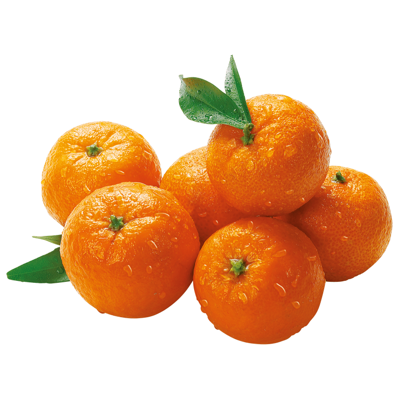 Mandalina