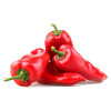Kırmızı Biber